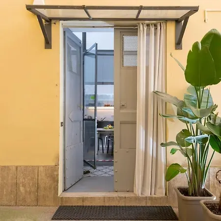 New! Design & Modern *